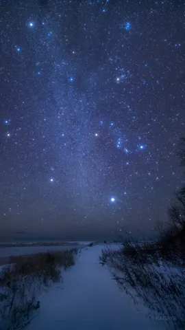 冬の星屑ロード