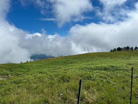 雲海に浮かぶ緑の丘