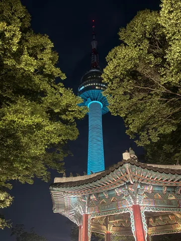 夜景と伝統建築の共演