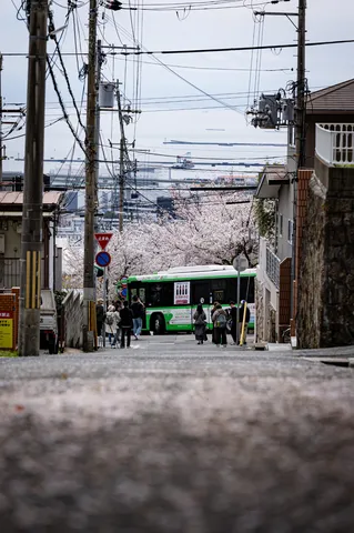 桜とバスが行き交う坂道