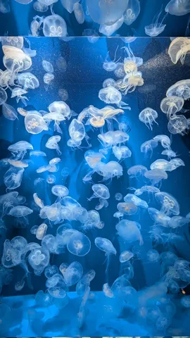 青い宇宙を漂う光の粒