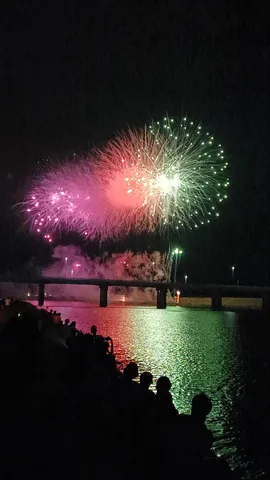夜空を彩る花火の宴