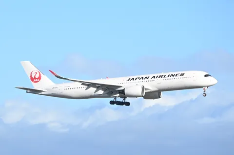 飛翔する白の刻印