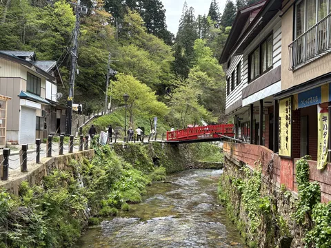 渓流沿いの赤い橋と街並み