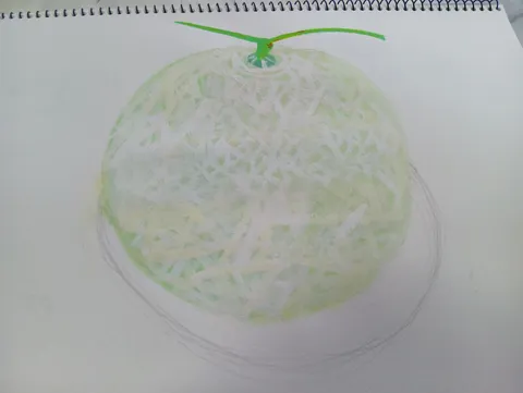 メロン、描いてみた。