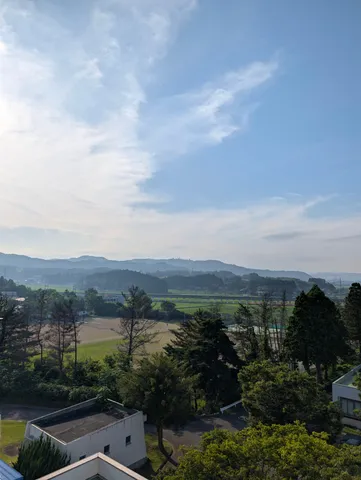 新緑と空のコントラスト