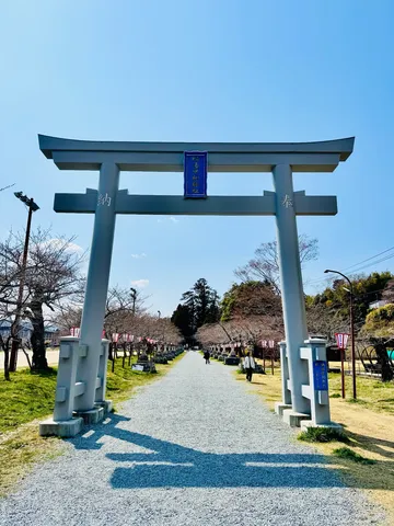 鳥居を抜ける、静寂の参道