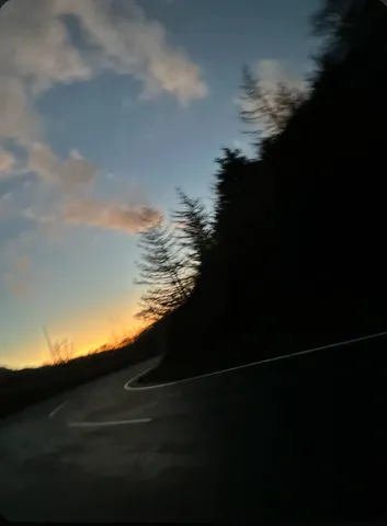 夕暮れのくねり道と影