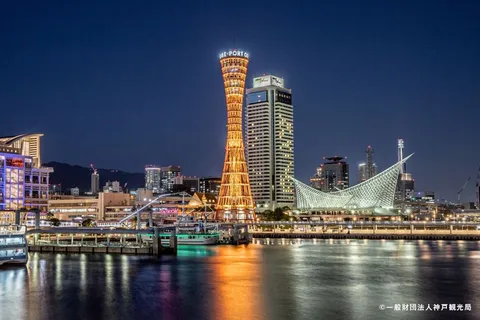 港にほどける夜の光