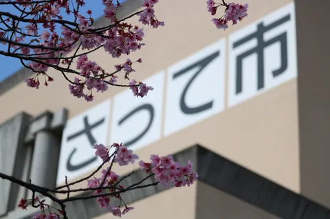 春の訪れ、街のサインと桜