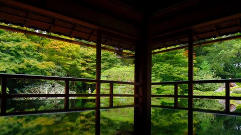 緑映える縁側、静寂の庭園