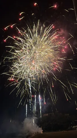 夜空を彩る光のシャワー