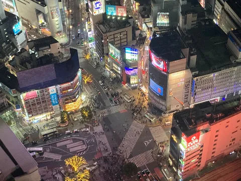 夜の交差点に光の迷路