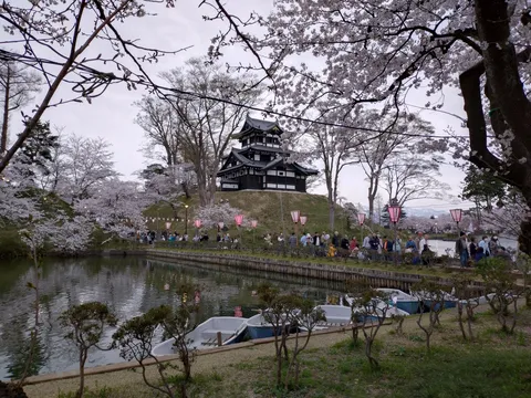桜と古城、水辺の静けさ