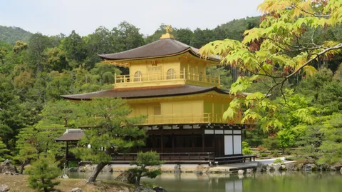 黄金に輝く水鏡