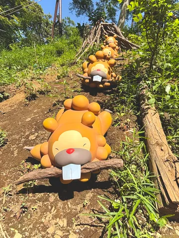 連なる癒やし、森の獣道