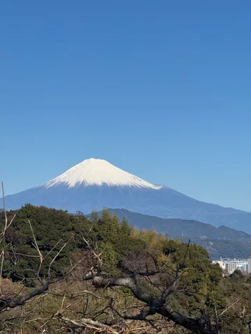 雪化粧の富士、木々の息吹