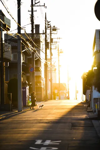 夕陽と電柱のコントラスト