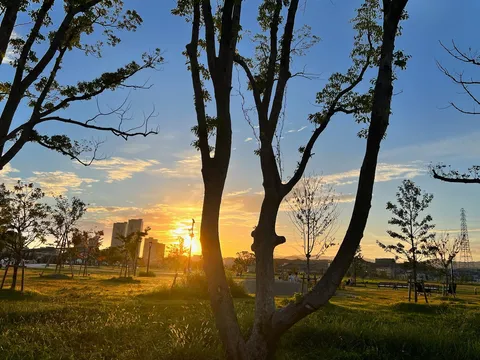 夕焼けと木漏れ日のノスタルジー