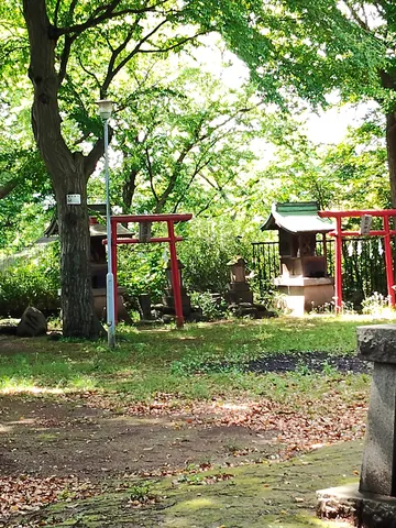 緑陰に鎮座する、静寂の杜