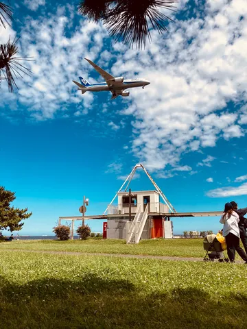 空と地上の共演