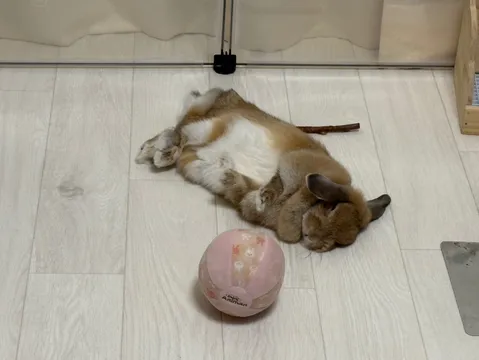 お疲れ様、そしておやすみなさい