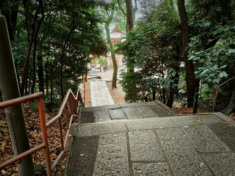 雨上がりの石畳、森の奥へ