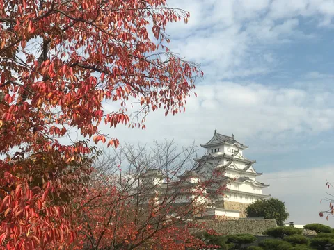 紅葉と白壁のコントラスト