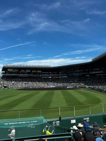 青空の下、野球観戦のひととき