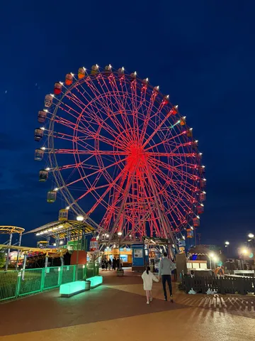 夜空に咲く真紅の輪