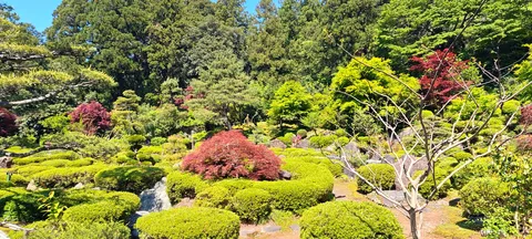 緑と赤のコントラスト、癒やしの日本庭園