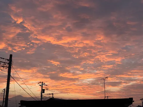 夕空に染まる電線群