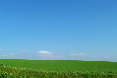 どこまでも続く緑と空