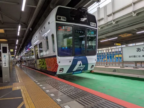 ワンマン電車と彩り豊かな車両の出会い