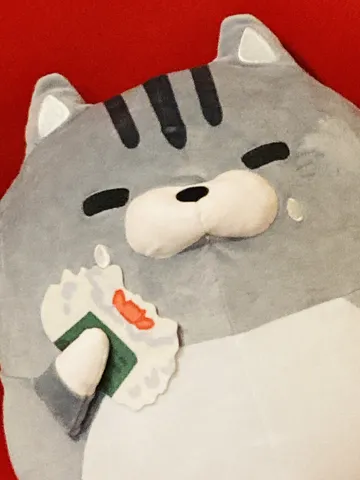 ぼんねこ