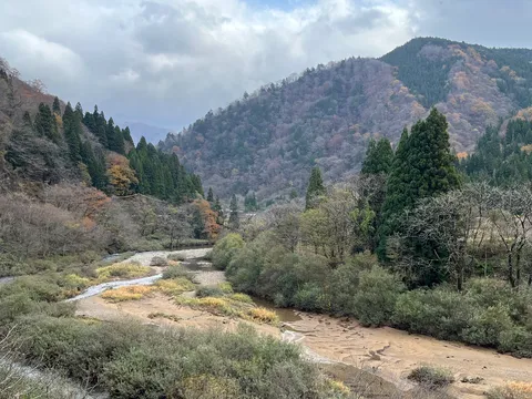秋色と川辺の彩り