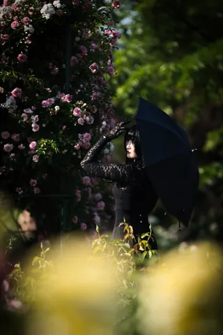 薔薇と黒傘の雨音