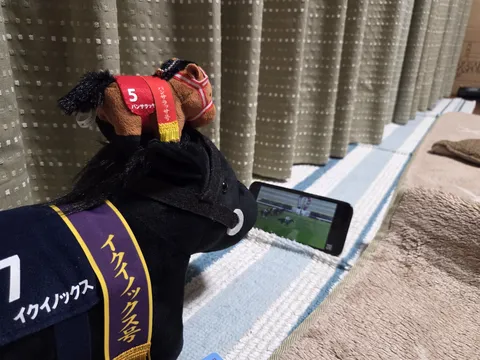 競馬観戦に夢中のぬいぐるみ