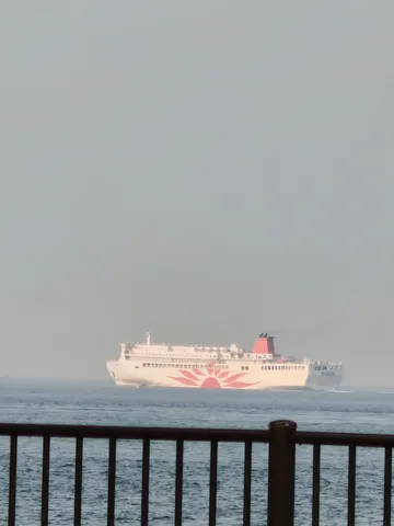 霧立つ海に巨大フェリー