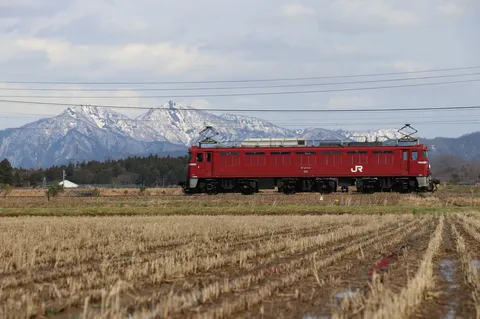 雪山を背景に走る赤い電機機関車