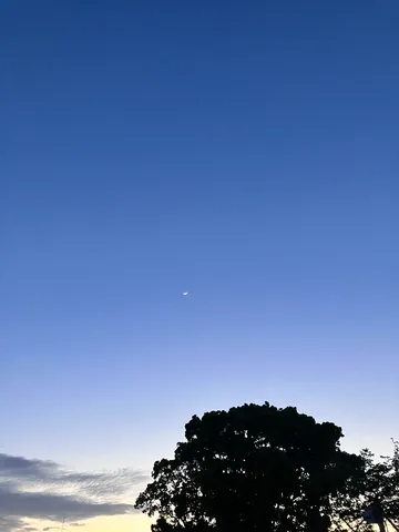 茜空に三日月、木漏れ日の瞬間