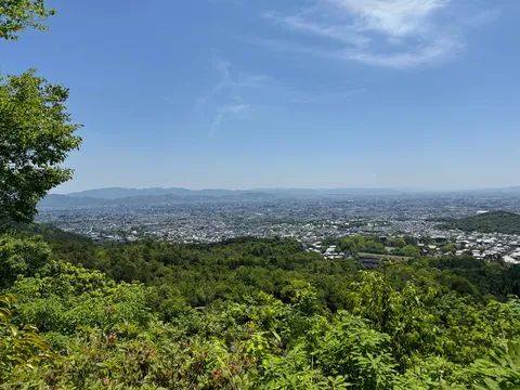 広がる緑と街並みのパノラマ
