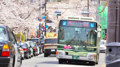 桜舞う道、バスとタクシーの日常