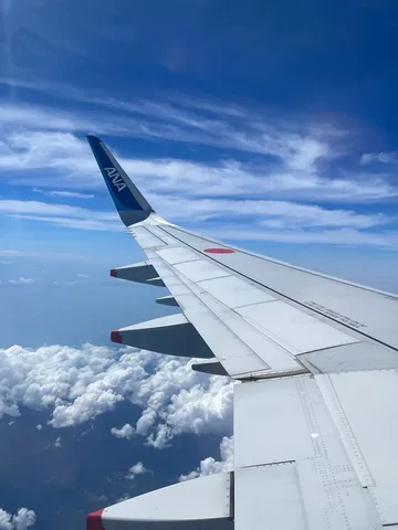 雲上の旅路、ANAの翼