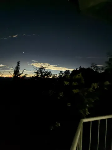 星影に溶ける、宵闇の木々