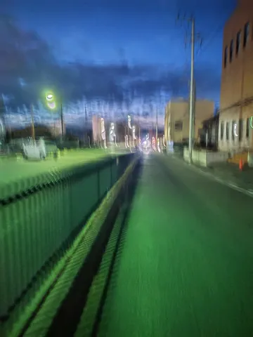 夜の帳、緑に染まる道