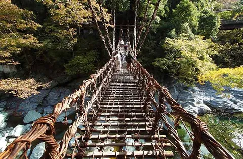 秘境を渡る、つるの吊り橋