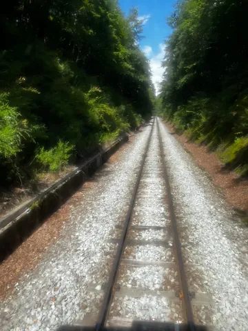 緑に包まれる線路の旅