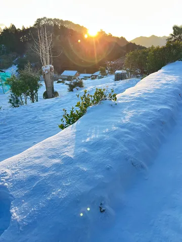 雪景色に輝く朝陽