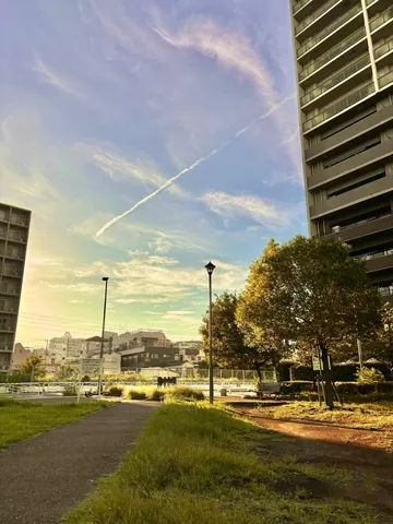 都会の空と道